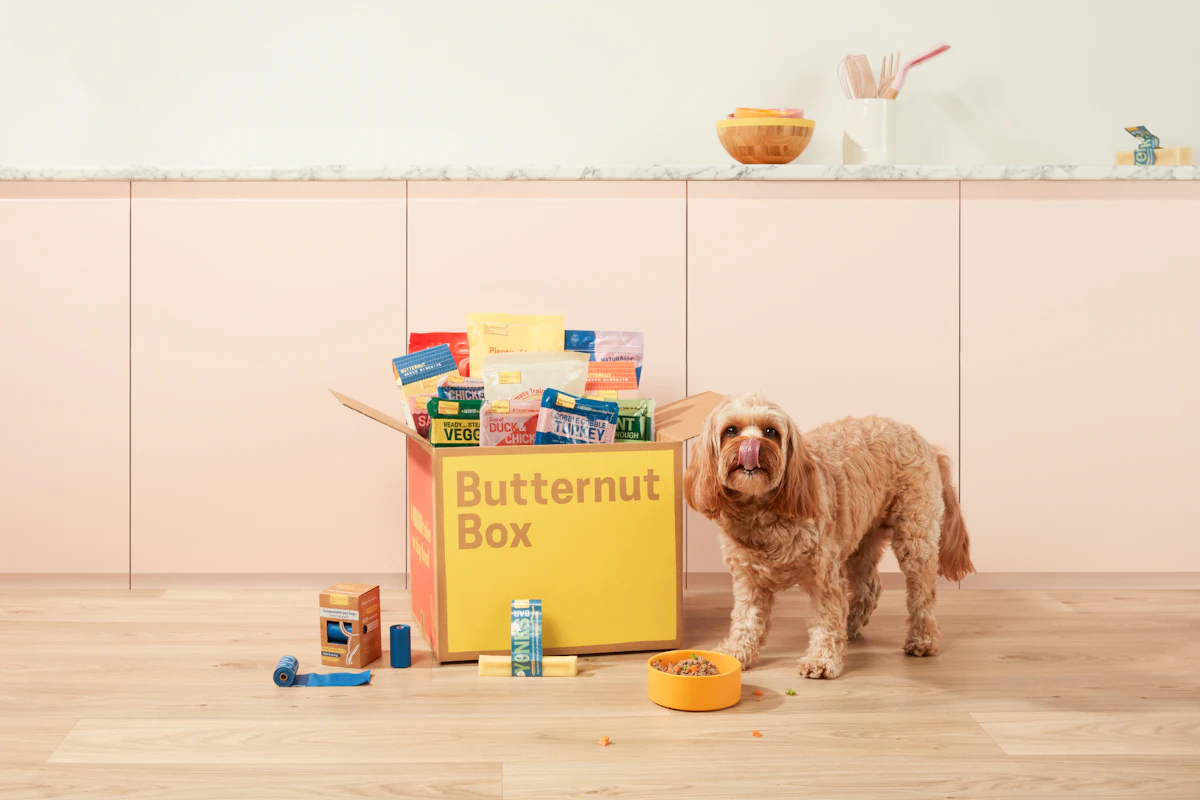 Butternut Box launches fresh dog food health study Butternut Box launches fresh dog food health study