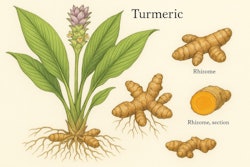 Chat Gpt Image Sep 12, 2025, 02 42 30 Pm