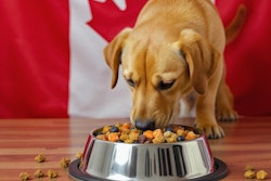 Dog Eating Super Food Kibble Dall E