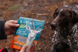 Montego Pet Nutrition is expanding its U.S. footprint with strategic distribution partnerships with Rio Grande Service Center.