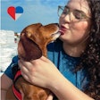 In 2017, PetSmart Charities began its partnership with Feeding America to distribute pet food through partner food banks.