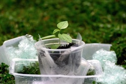 Plastic Waste With Green Plant Pixabay com