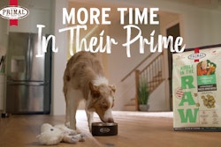 Primal Pet Foods Little Lamby