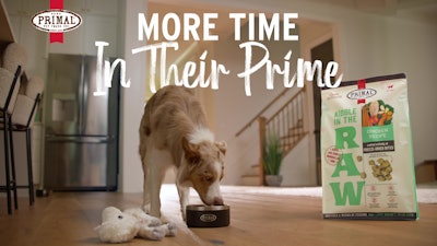 Primal Pet Foods Little Lamby