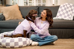 Purina has partnered with Sarah Hyland to launch a limited-edition collection to support domestic abuse survivors and their pets.