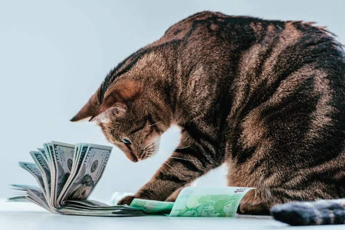 US pet owner spending strong, cost concerns a factor US pet owner spending strong, cost concerns a factor