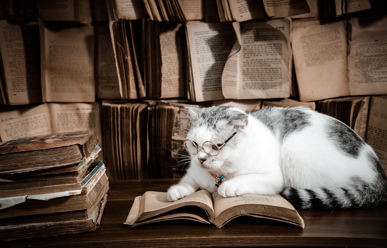 Cat With Readers And Book Petfoto Pixabay com