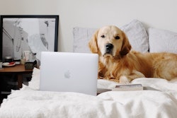 Pet owner spending has broadened across physical and digital retail channels among all types of pet products and services.