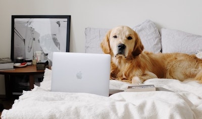 Pet owner spending has broadened across physical and digital retail channels among all types of pet products and services.