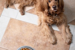 Private label pet food is seeing growth that is outpacing name brands.