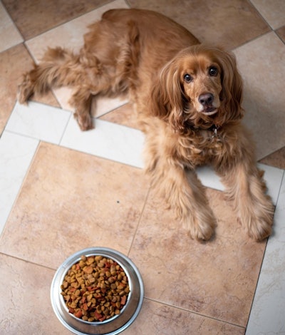 Private label pet food is seeing growth that is outpacing name brands.