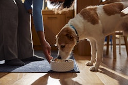 Blue Buffalo's Love Made Fresh will be available at Walmart, Target, Kroger, Meijer and many local grocery stores.