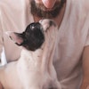 Microbiome research reveals connections between gut health and skin, joint, oral conditions in pets.