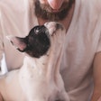 Microbiome research reveals connections between gut health and skin, joint, oral conditions in pets.