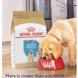 Mars Is Closer Than You Think Campaign