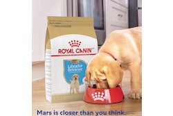 Mars Is Closer Than You Think Campaign