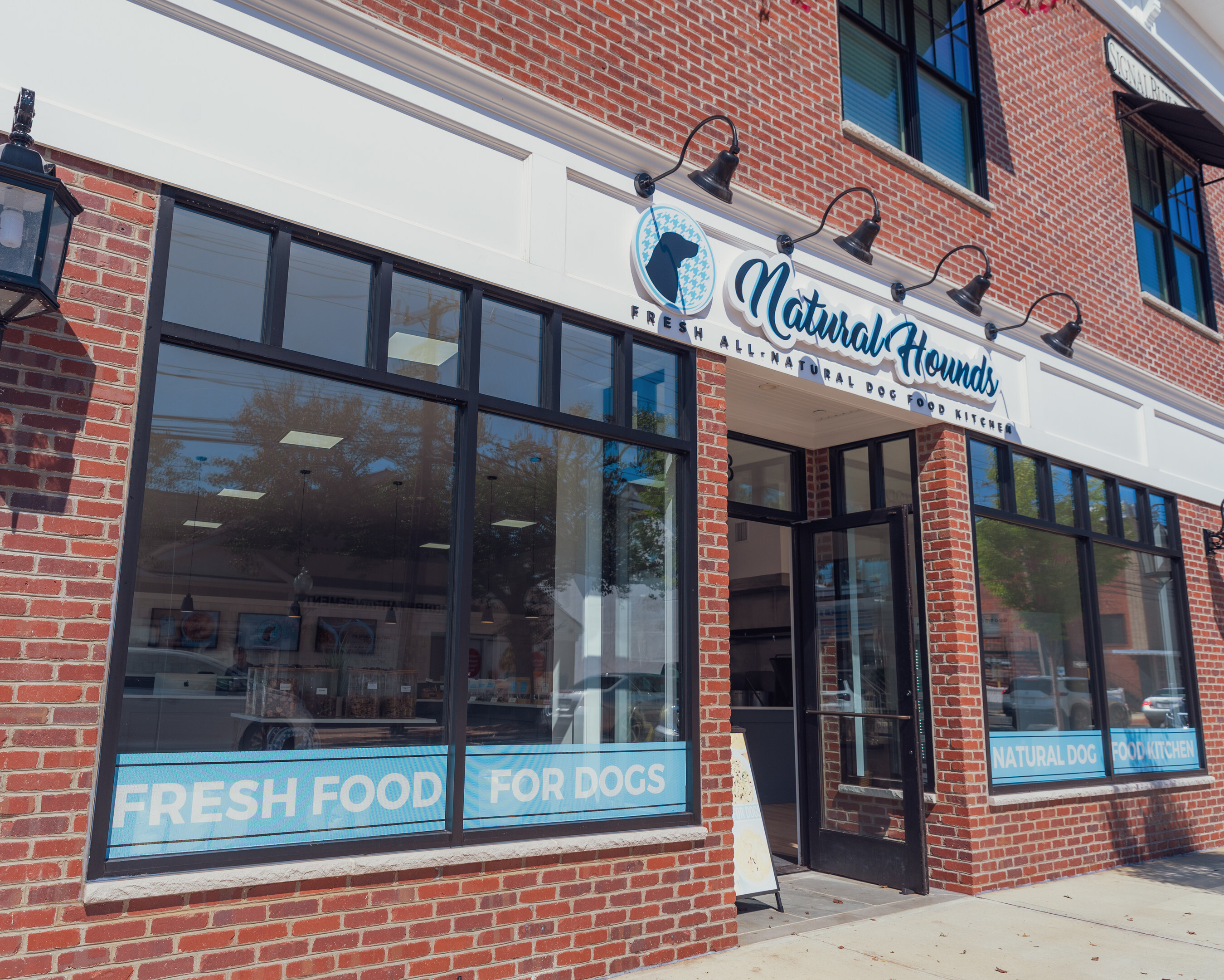 Natural Hounds By Marissa G Photography Inc