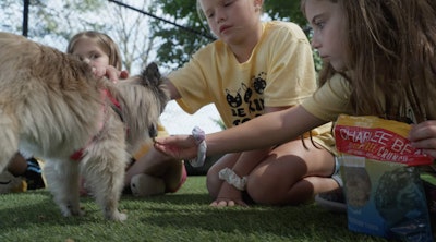 Pet food companies are increasingly partnering with animal welfare organizations to support rescue operations and strengthen community connections.