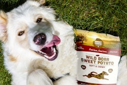 Smart Cookie Main Image