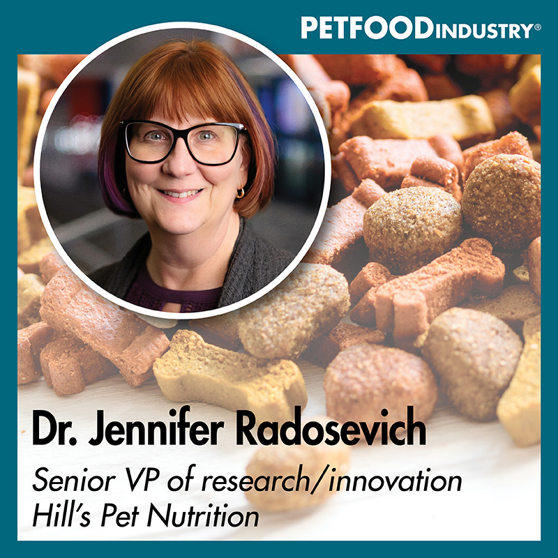 Sound Cloud Cover Art 800x800 Jennifer Radosevich