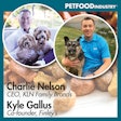 Sound Cloud Cover Art 800x800 Nelson Gallus