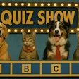 1980s Tv Picture Of Real Dogs And Cats Playing A 1980s Tv Quiz Gameshow