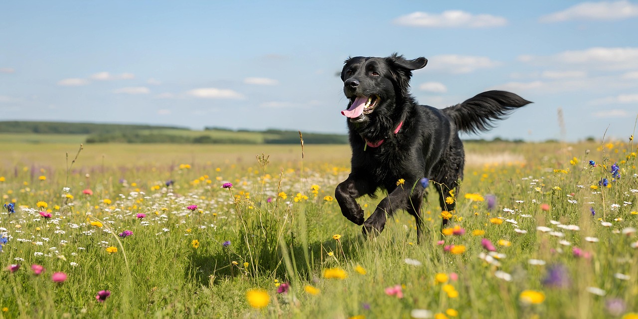 Ai Generated Mr Washingt0n Pixabay