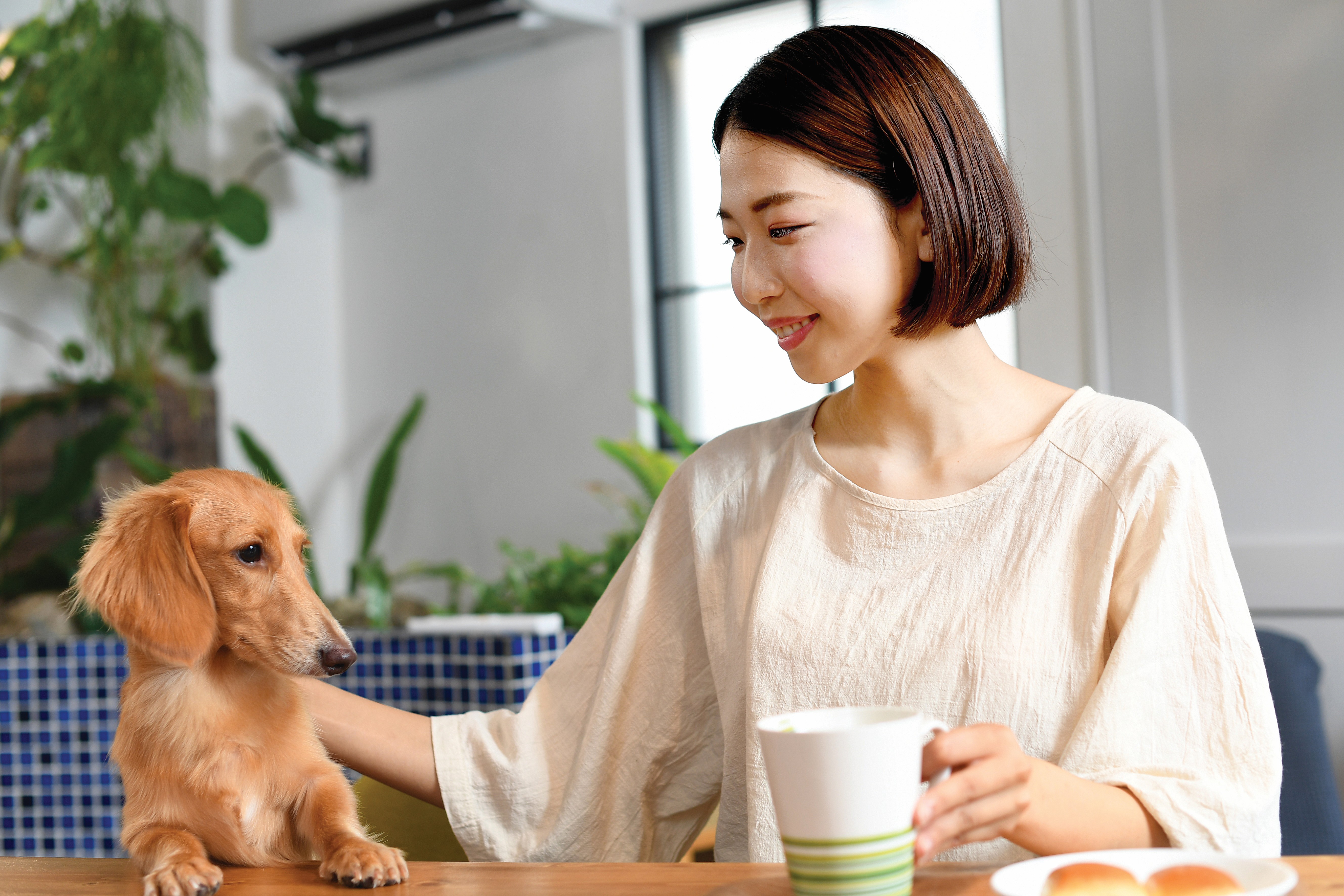 China Pet Owner With Pet