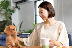 China Pet Owner With Pet