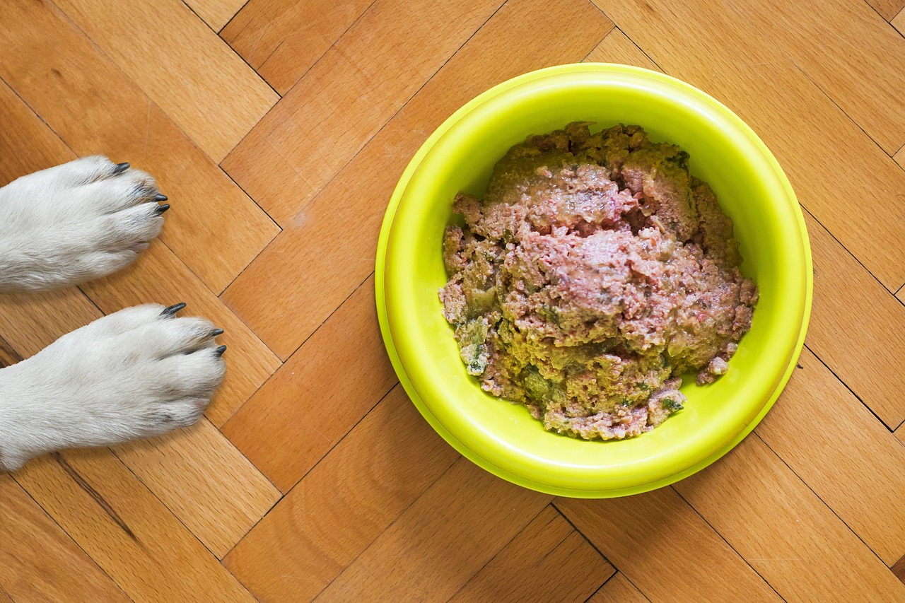 Researchers at the Dog Aging Project recommend veterinary nutritionist consultation and lab testing for homemade dog diets.