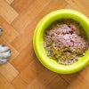 Researchers at the Dog Aging Project recommend veterinary nutritionist consultation and lab testing for homemade dog diets.
