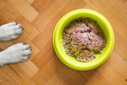 Researchers at the Dog Aging Project recommend veterinary nutritionist consultation and lab testing for homemade dog diets.