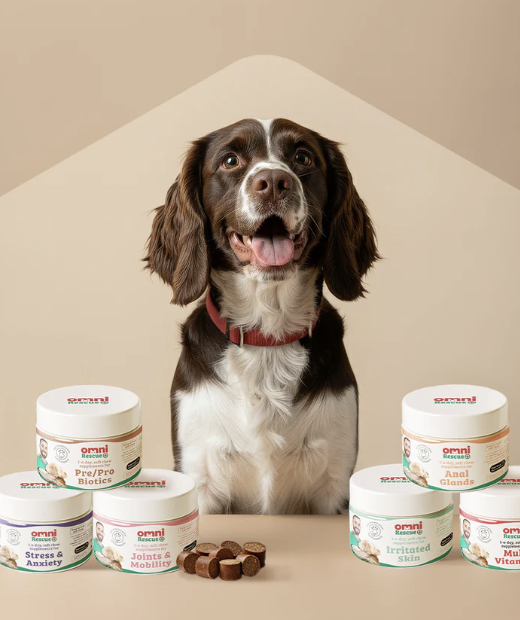 Omni has reported a 600% sales increase for its stress and anxiety soft chews.