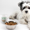 SuperSalad, a plant-based, nutrient-rich dog bowl booster featuring real ingredients such as spinach, quinoa, and butternut squash.