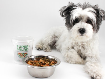 SuperSalad, a plant-based, nutrient-rich dog bowl booster featuring real ingredients such as spinach, quinoa, and butternut squash.