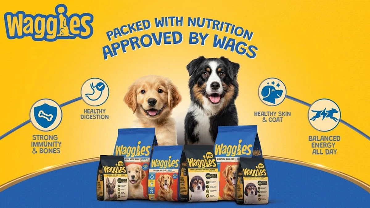 Reliance Consumer Products launches affordable pet food brand in India ...