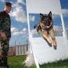 Soldier With German Shepherd Running Course Pixabay com