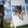 Soldier With German Shepherd Running Course Pixabay com