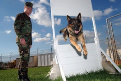 Soldier With German Shepherd Running Course Pixabay com