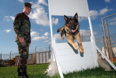 Soldier With German Shepherd Running Course Pixabay com