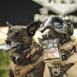 Tactical Dogs Rare Breed