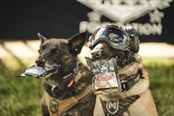 Tactical Dogs Rare Breed