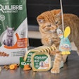 France's Normandise Pet Food continues to ramp up its export sales, which currently generate around 60% of the company's sales.