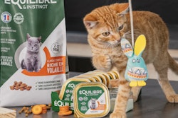 France's Normandise Pet Food continues to ramp up its export sales, which currently generate around 60% of the company's sales.