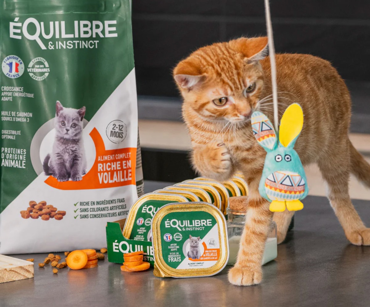 Normandise Pet Food targets growth in North America, Europe