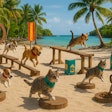 A Reality Challenge Game Show On A Tropical Island Featuring Dogs Playing Against Cats