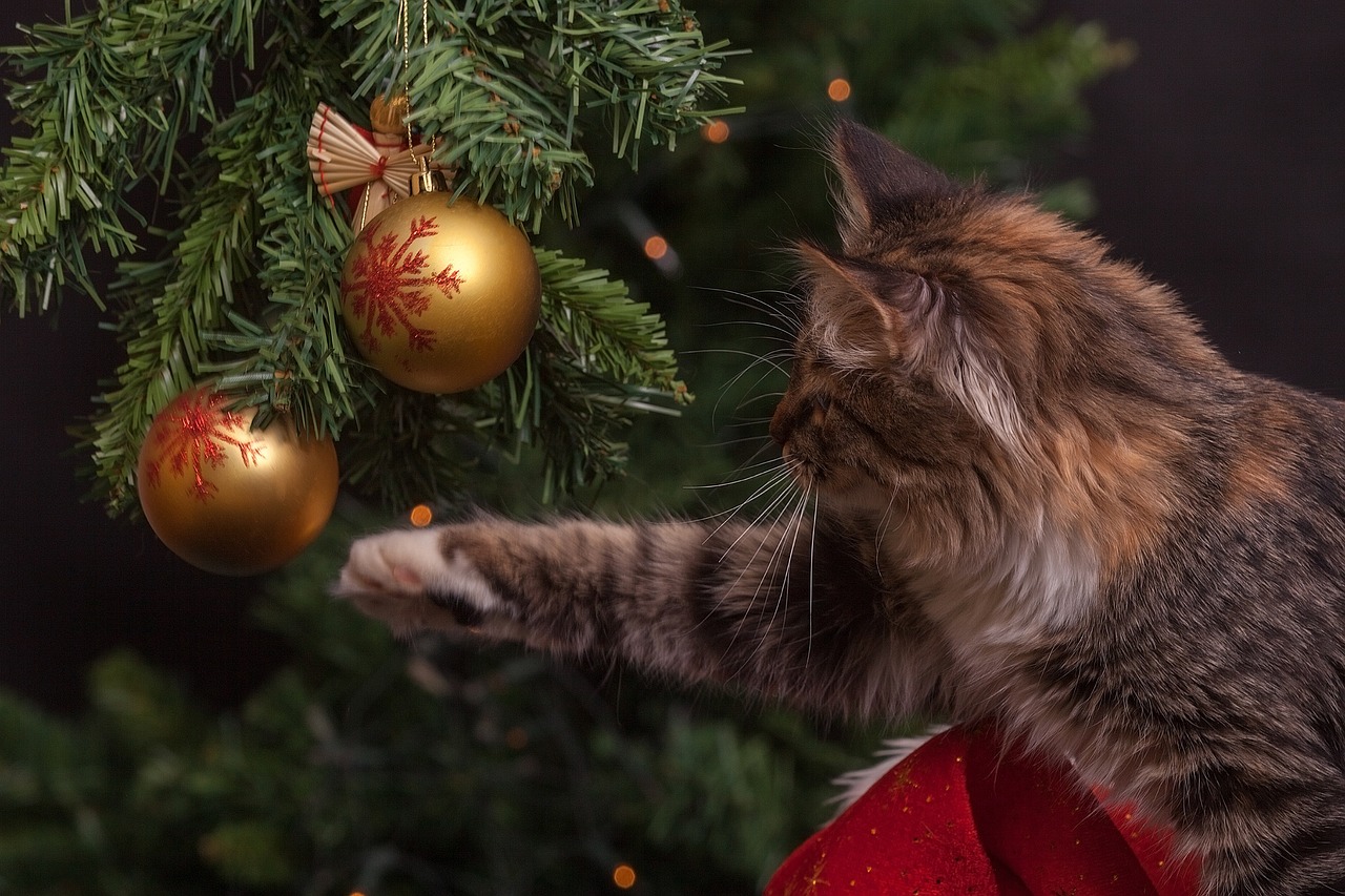 Over 40% of cat owners purchase Christmas gifts, spending an average of $30.70 per gift, noted APPA.