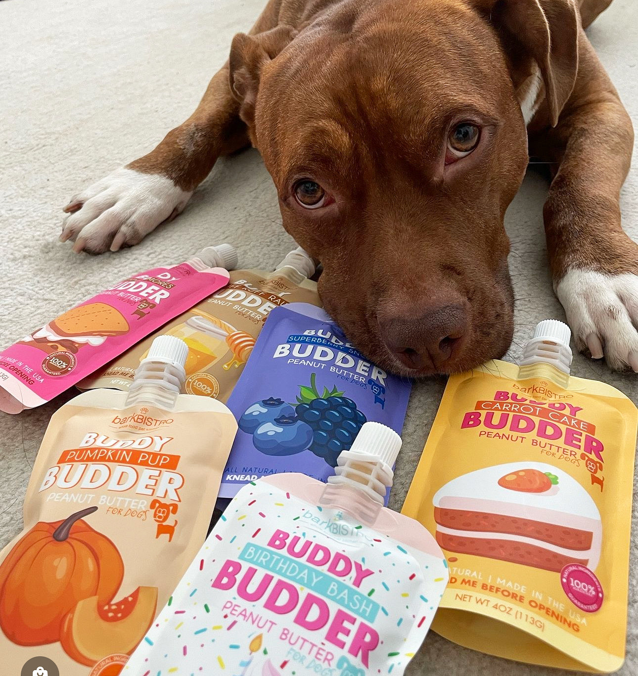 The company noted this launch marks a major milestone in Bark Bistro&rsquo;s evolution from a kitchen-based startup to a national pet treat brand for dog treats.