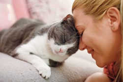 Darwin’s Cats allows cat owners to share their pets’ DNA for research in a cat-friendly way.