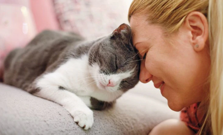 New model for cat nutrition research: Cat owner involvement New model for cat nutrition research: Cat owner involvement